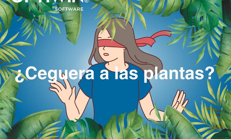 Ceguera a las plantas OPTIWIN