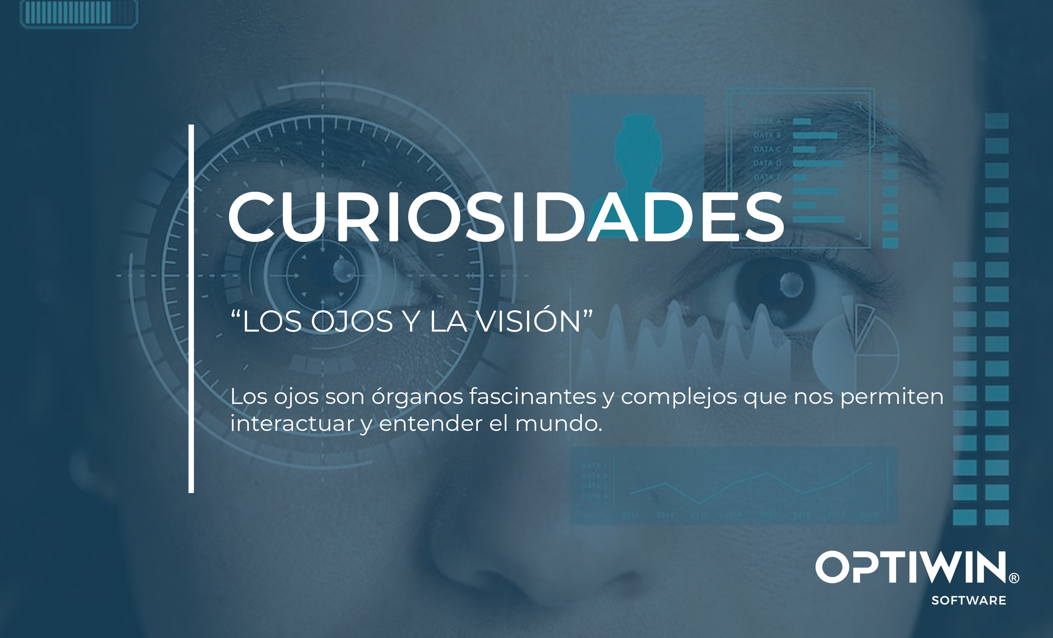 CURIOSIDADES : LOS OJOS Y LA VISIÓN