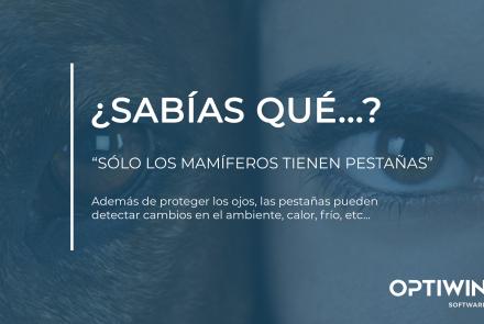 ¿SABÍAS QUÉ SÓLO LOS MAMÍFEROS TIENEN PESTAÑAS?